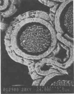 SEM micrograph of pitchCVI composite (atomic oxygen etched)