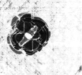 Ultrasonic S-scan of cfrp laminate showing an area of impact induced delamination