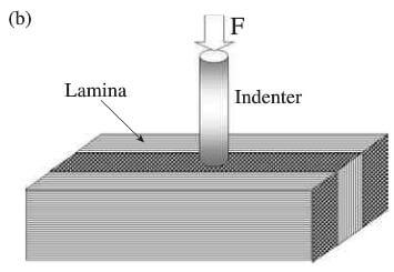 schematic drawings of fiber bundle push-out, FBP, test 3D C-C specimen