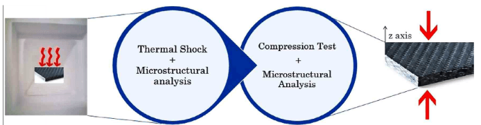 shematc representation of experimental procedure