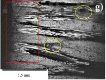 SEM micrograph showing the edge of CC composite test specimens.