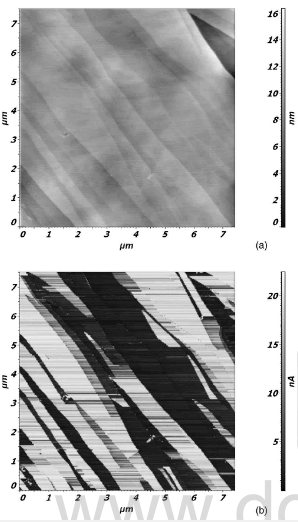 atomic force microscopic image