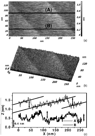 (a)Togpgraphic 2D (b)3D images(c) two height profiles