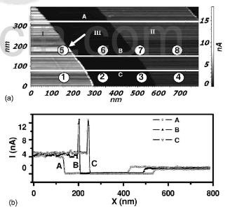 (a)local conductance map (b)the current profile along the lines marked in (a)