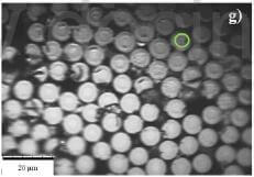 SEM micrograph showing tow matrix interface of CC composite