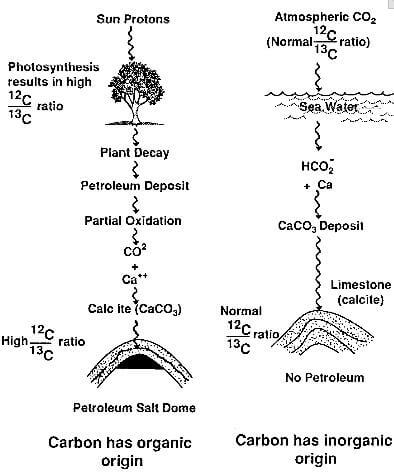 organic origin of carbon in petroleum salt domes