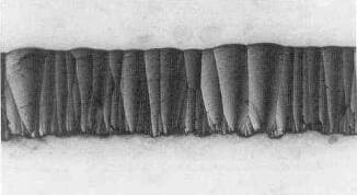 columnar structure of pyrolytic graphite.