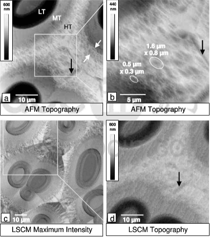 (a,b)AFM topography and (c,d) laser scanning confocal microscopy images of an infiltrated carbon felt after ion etching