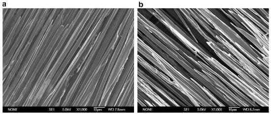 microscopical investigation of oxidation processes for the longitudinal bundle of 2D CC composite