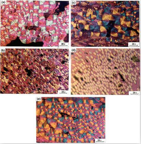 Fig.2-microstructures-of-five-CC-composite.-