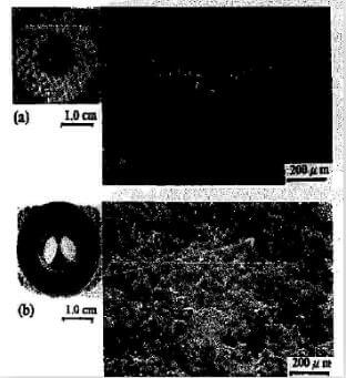 Fig.2-starting-surfaces-for-friction-and-wear-testing