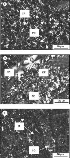 Fig.3-polarized-light-micrographs-of-the-CC-composites