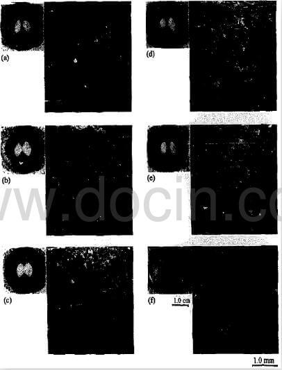 fig.13-sequential-morphological-variation-of-BI-2000