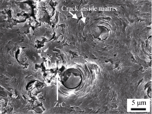 Fig. 7 SEM image of CC-ZrC composites polished by 1000 grit SiC paper
