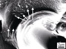 Fig. 8 Morphology of ZrC in the matrix after three-point bending test